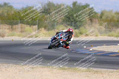 media/Nov-11-2023-SoCal Trackdays (Sat) [[efd63766ff]]/Turn 2 Set 1 (1125am)/